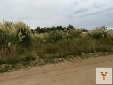 Terreno en Venta en Irene, USD 29.000