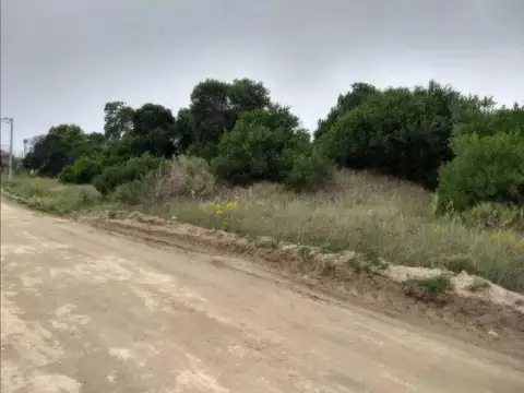 Terreno en Venta de 445,0 m2
