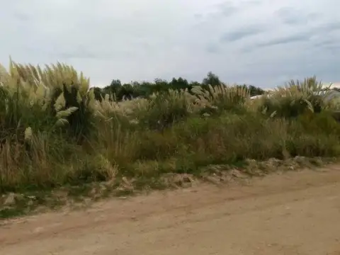 Terreno en Venta en Irene, USD 29.000