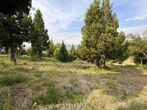 Terreno en Venta de 800,0 m2