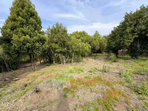 Venta de Lote en LOS RISCOS, San Martín de los Andes