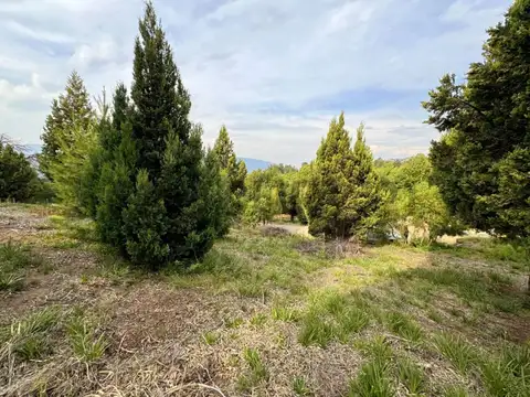 Terreno en Venta de 800,0 m2