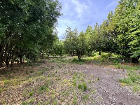 Venta de Lote en LOS RISCOS, San Martín de los Andes