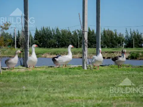 Ruta 2 Km 65, Lote 542