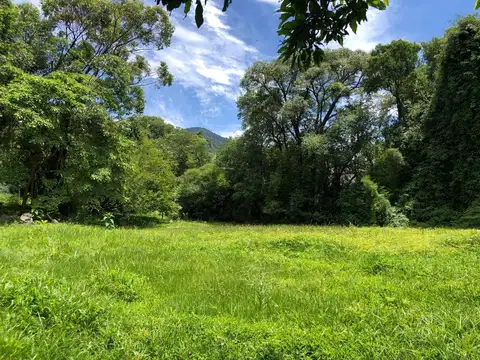terreno san lorenzo