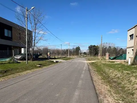 Pampa Pilar 100