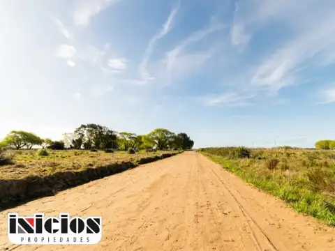 Jamaica entre Bolivia y Brasil 100