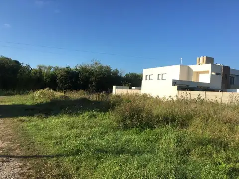 134/514 y 514bis