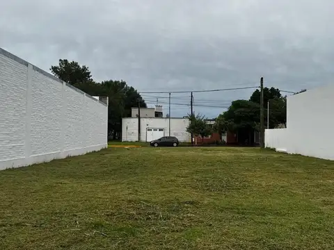 Las Colonias 800