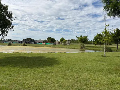 Las Calandrias, Lote 100