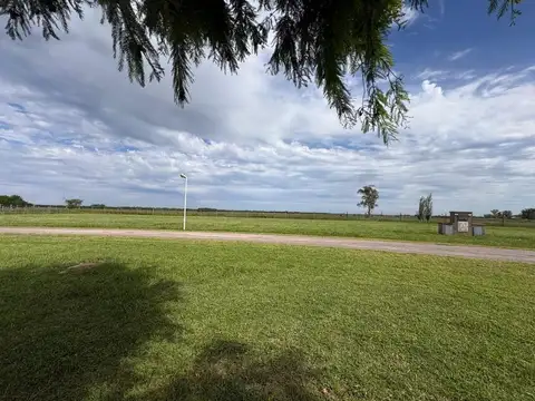 Las Calandrias, Lote 100