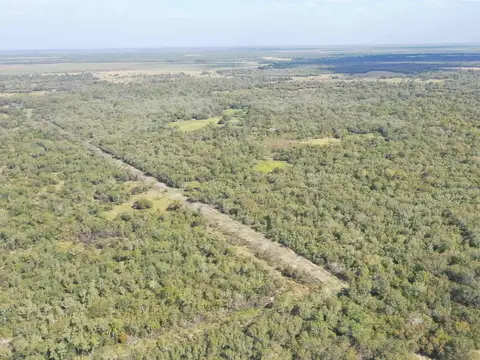 CAMPO GANADERO EN VENTA EN VILLA GUILLERMINA