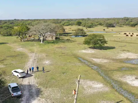 CAMPO GANADERO EN VENTA EN VILLA GUILLERMINA