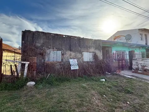 Cecilia Griegson Entre Furques Y Quinquela Martín