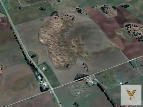 Israel y Malvinas Argentinas