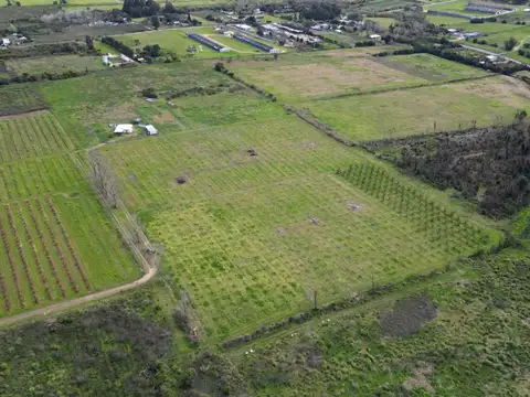 Venta de terreno de 3,850 hectáreas Melilla