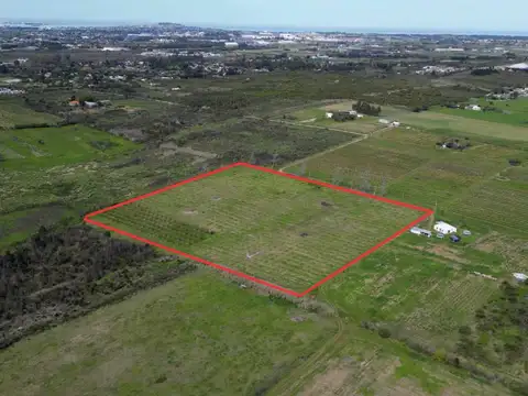 Terreno en Venta de 38500,0 m2