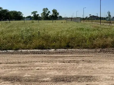 Terreno