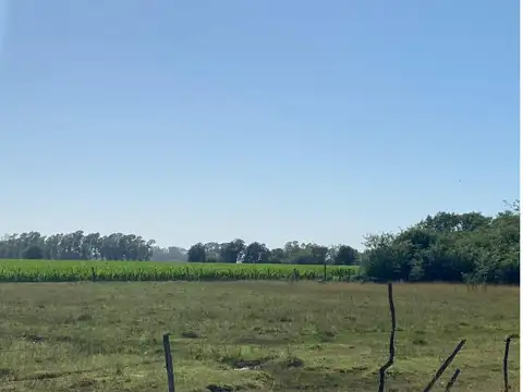 Campo en Venta de 1,16  ha