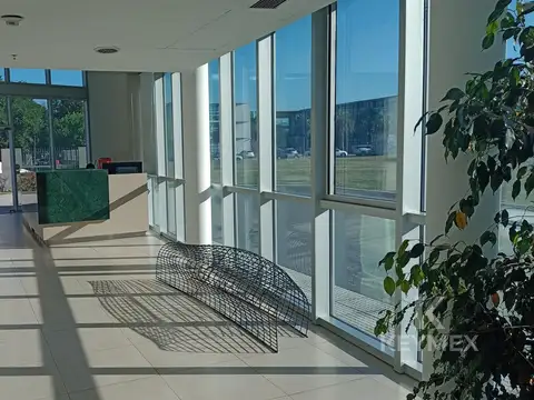 Oficina en Alquiler A Estrenar
