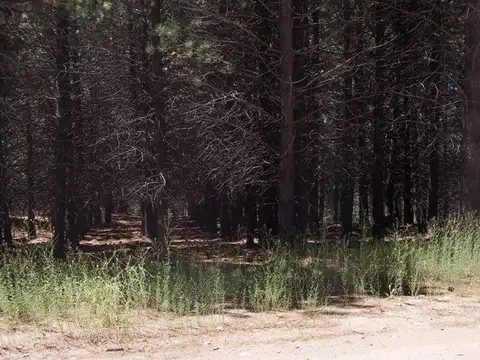 Terreno en Venta de 703,0 m2