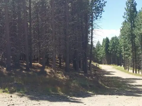 Terreno en Venta en San Martin de los Andes, USD 38.000