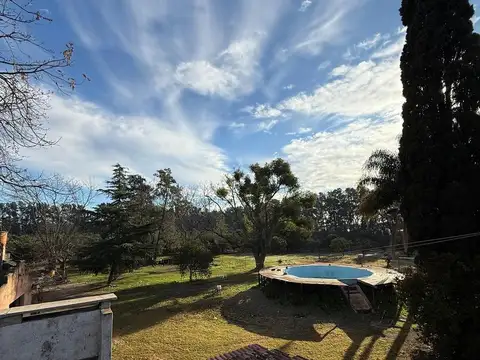 Campo en venta de 10 has, con casa y plantación de naranjas