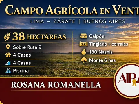 Campo - Zarate
