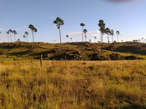 Terreno en Venta en Yacanto Calamuchita, USD 23.000