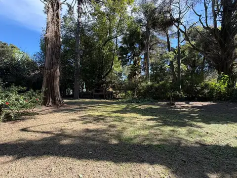 Terreno en Venta 26  mts Frente