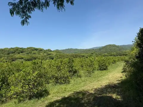 Camino Rural Vecinal 100