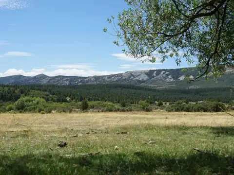 Espectacular fracción de 11Ha a 20 minutos de Bariloche. Ideal para desarrollo!