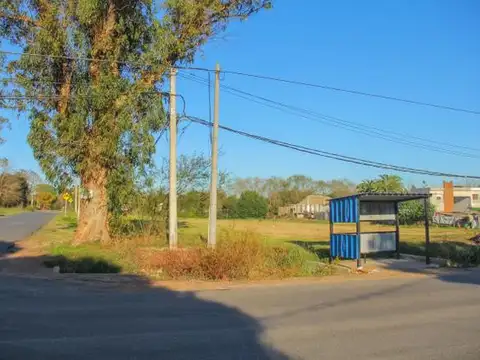 Galpon en Venta 50  mts Frente