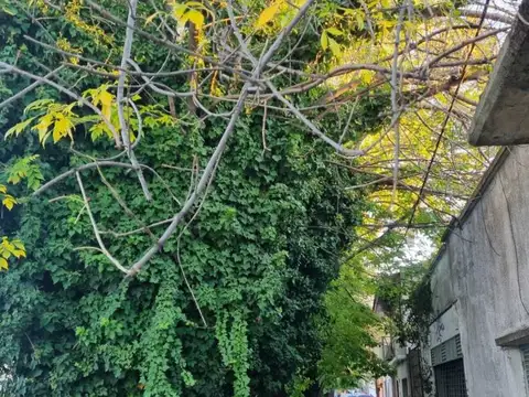 75 e/ 6 y 7 , Piso 0