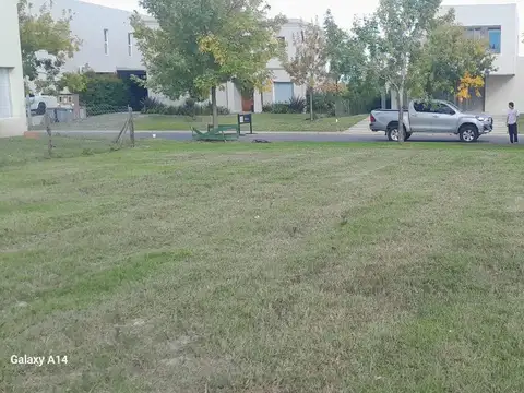 Avenida De Los Lagos 1000