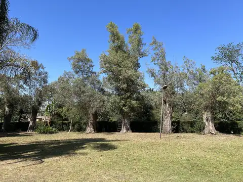 Terreno en La Lonja