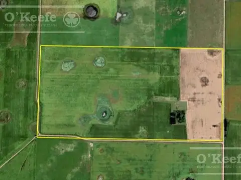 Campo en venta 84 has - 60% Agricola en General Belgrano