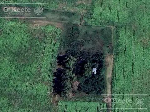 Campo en venta 84 has - 60% Agricola en General Belgrano