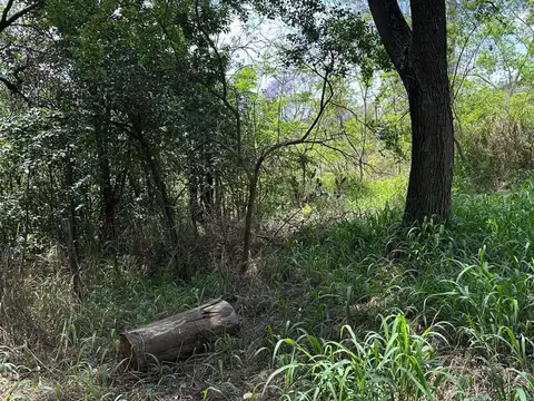 Terreno en Venta de 534,0 m2