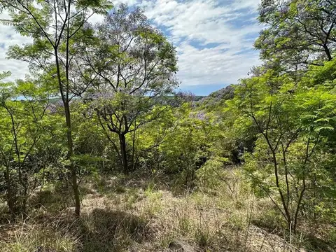 Terreno en Venta de 534,0 m2