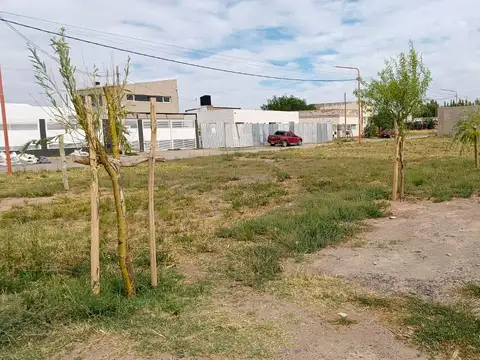 Terreno en Venta 20  mts Frente