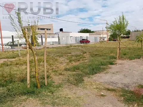 Terreno en Venta 20  mts Frente