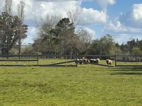 Campo en Venta Turístico