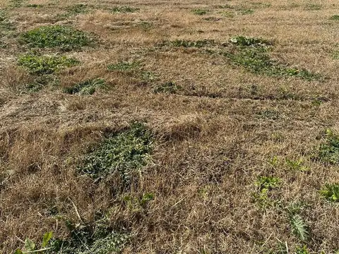 Terreno en Venta en Los Pinares Country Club, USD 50.000