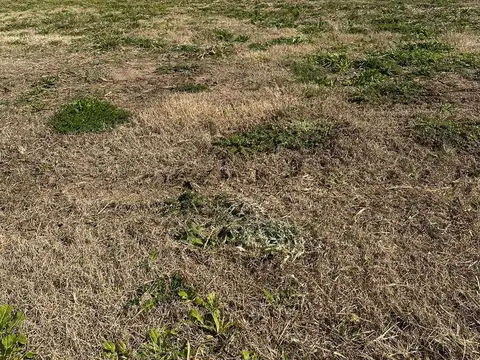 Lote en venta en Los Pinares