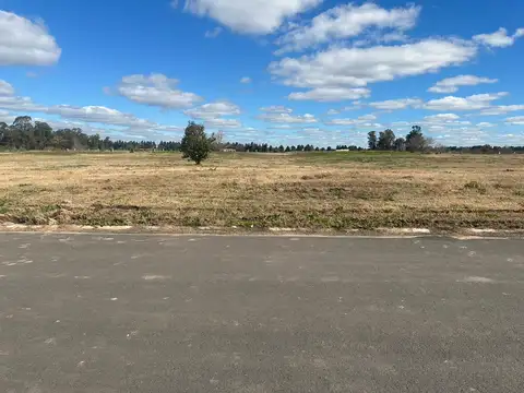 Terreno en venta en Los Pinares