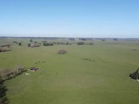Campo de 131 has en Venta en Florencio Varela