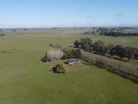 Campo de 131 has en Venta en Florencio Varela