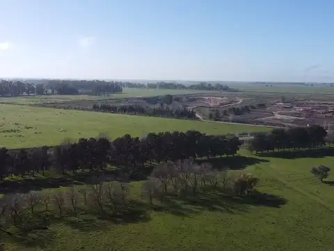 Campo en Venta de 131  ha