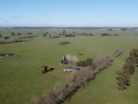 Campo en Venta de 131  ha
